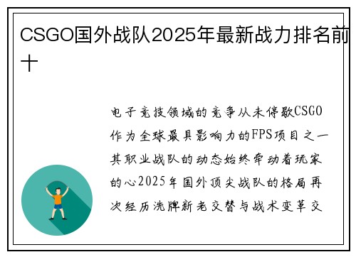 CSGO国外战队2025年最新战力排名前十